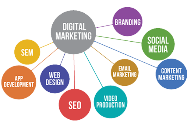 Digital Marketing Comapany in Noida